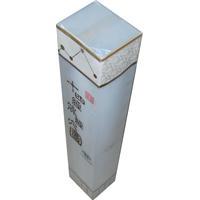 新編重繪十四經脈經穴圖