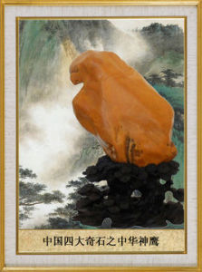 中華神鷹 中華神鷹