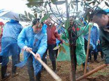 昭山鄉領導帶頭工作