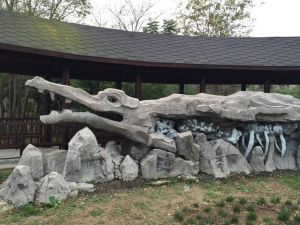 中國揚子鱷村 中國揚子鱷村