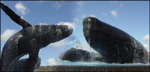 國立海洋生物博物館