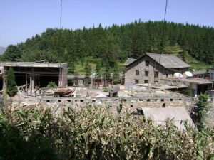 杉樹自然村 杉樹自然村