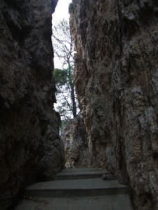 隨州大洪山 隨州大洪山
