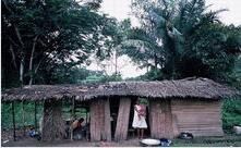 俾格米人簡陋茅屋