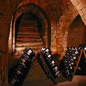 釀酒工程專業 釀酒工程專業