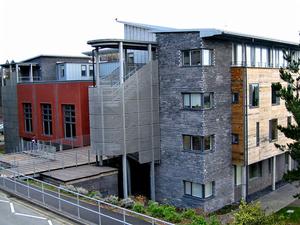 Department of International Politics