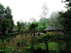 出水溝村 出水溝村