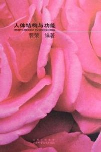 人體結構與功能 人體結構與功能