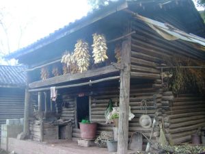 柒樹自然村 柒樹自然村