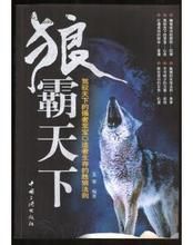 狼霸天下 狼霸天下