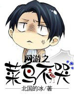 網遊之菜鳥不哭