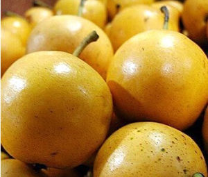 遼陽香水梨 遼陽香水梨