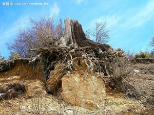 環境惡化 環境惡化