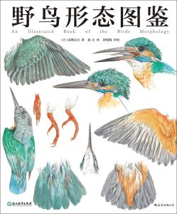 野鳥形態圖鑑 野鳥形態圖鑑
