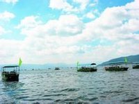 撫仙湖祿充風景區