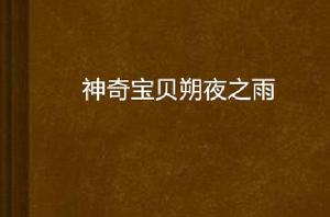 神奇寶貝朔夜之雨 神奇寶貝朔夜之雨