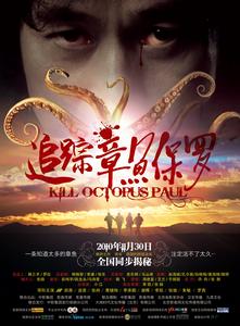 追蹤章魚保羅 追蹤章魚保羅