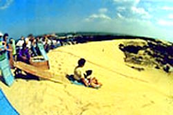 國際滑沙娛樂中心 國際滑沙娛樂中心