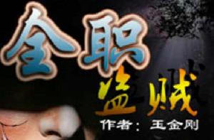 全職盜賊 全職盜賊