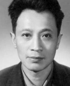 一朵野花 一朵野花