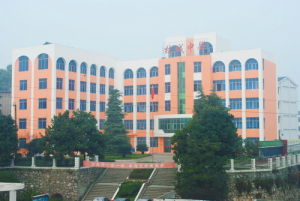 宜都市枝城鎮初級中學