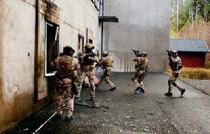 瑞典特戰任務組 瑞典特戰任務組