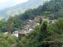 小普初村 小普初村