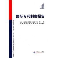 國際專利制度報告 國際專利制度報告