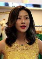 一仆二主[2014年劉進執導張嘉譯閆妮江疏影主演電視劇]