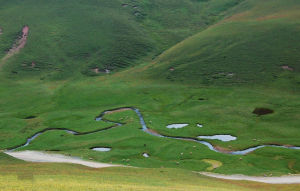 會澤大海草山 會澤大海草山