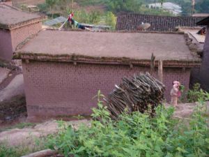 細路自然村 細路自然村