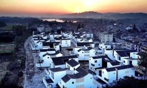 東梓關村 東梓關村