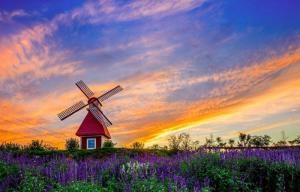 西部長青 西部長青