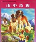 《山中奇觀》 《山中奇觀》
