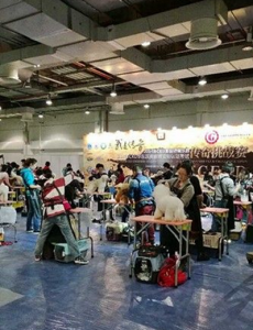 谷登2014上海CKU受熱捧