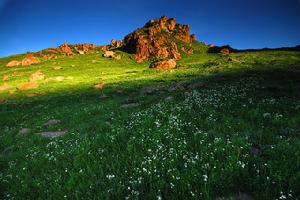 （圖）空中草園