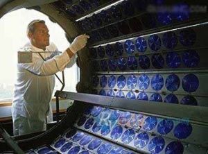 網路集成工程師