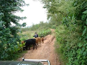 小伍么村 小伍么村