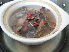 杜仲燉公雞 杜仲燉公雞