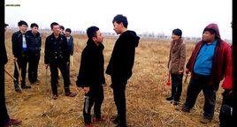 島市風雲 島市風雲