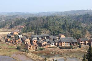 太和鄉 農村一角