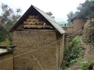 倮里一村 倮里一村