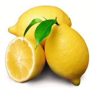 檸檬苦素有一定生物活性
