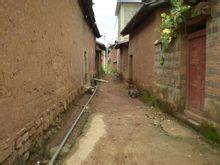 馬家莊村[雲南省楚雄市呂合鎮馬家莊村]