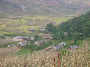 毛草山村 毛草山村