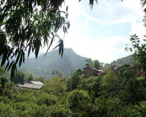 南箐自然村 南箐自然村