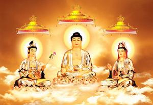 《攝一切有諍無諍三昧》