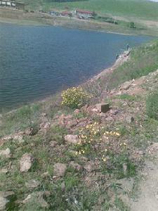 南城子水庫 南城子水庫