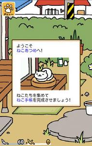 收集貓貓遊戲截圖