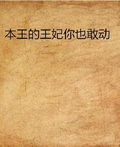 本王的王妃你也敢動 本王的王妃你也敢動